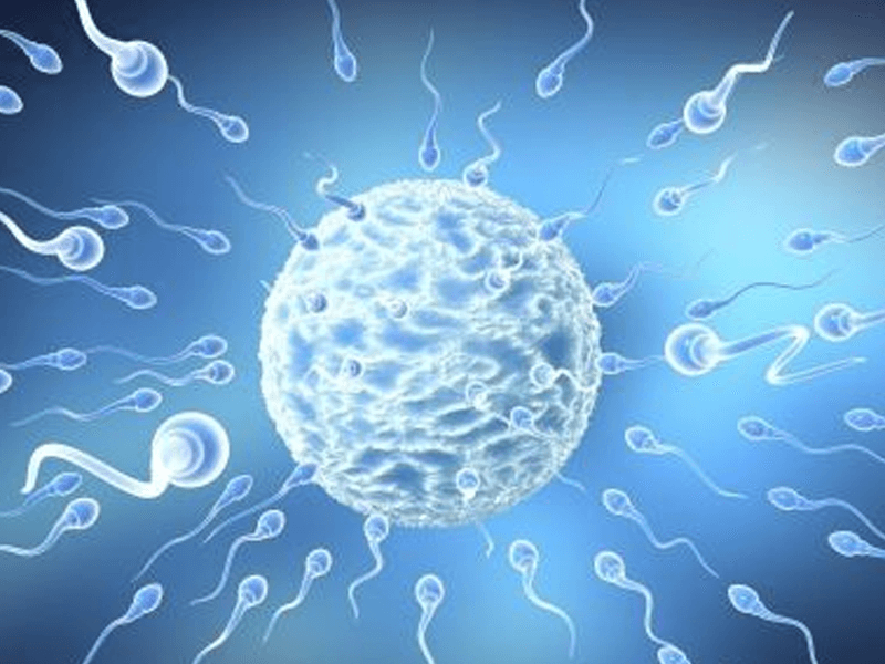 增强精子活力的4种方法中哪个方法见效快？