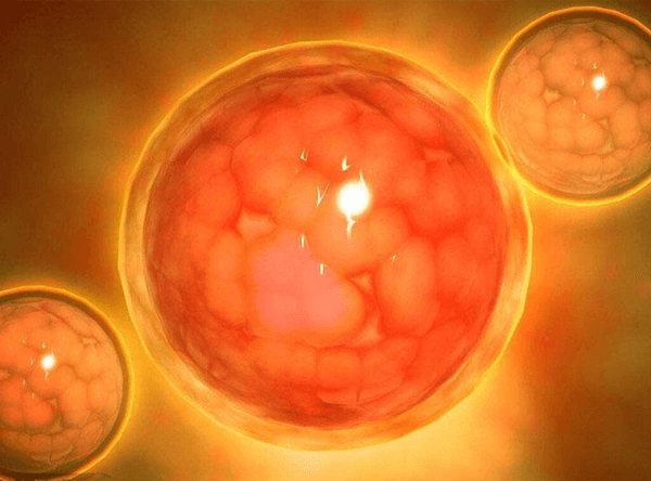 三级胚胎几细胞质量好成功希望大？