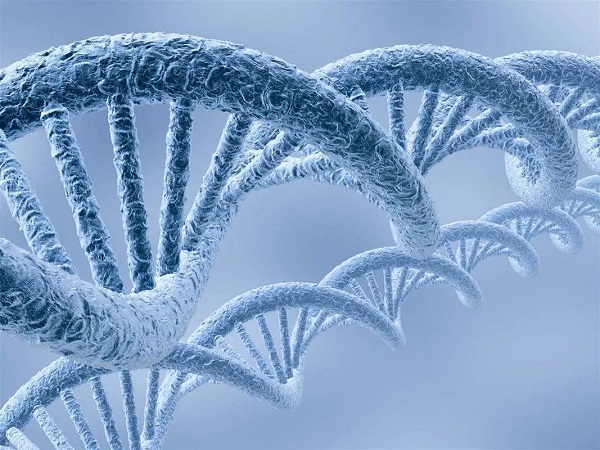 无创DNA19天了一直没出结果是有问题吗？