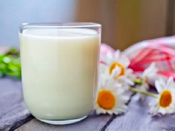 为什么脱脂牛奶比低脂更升糖更容易胖？
