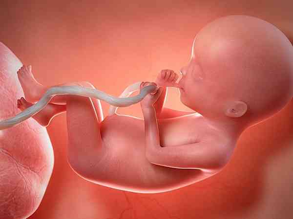 孕妇甲减tsh高从第几周开始会影响胎儿的智力发育？