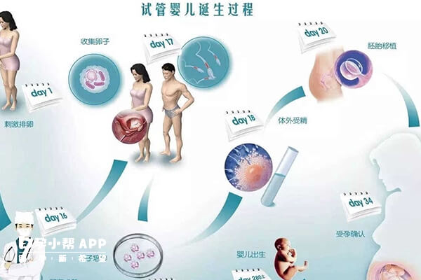 南宁公立医院做试管婴儿进行人工助孕的流程是怎样的？