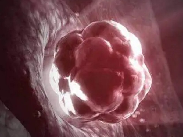 什么叫胚胎浅着床？有什么明显的征兆吗？