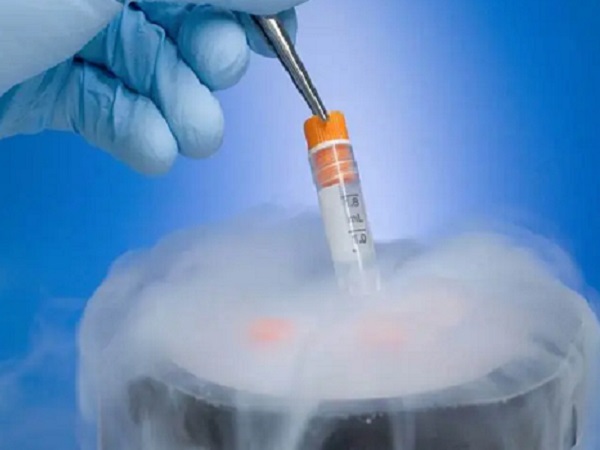 囊胚解冻复苏后几小时内必须移植？超过多久会死掉？