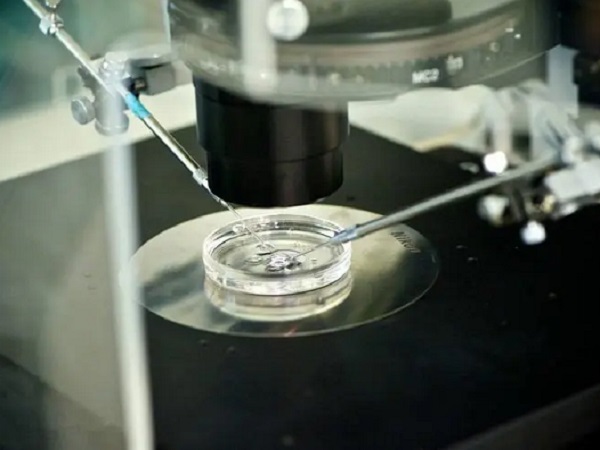 试管婴儿出现畸形剩下的冷冻胚胎可以继续用来移植吗？