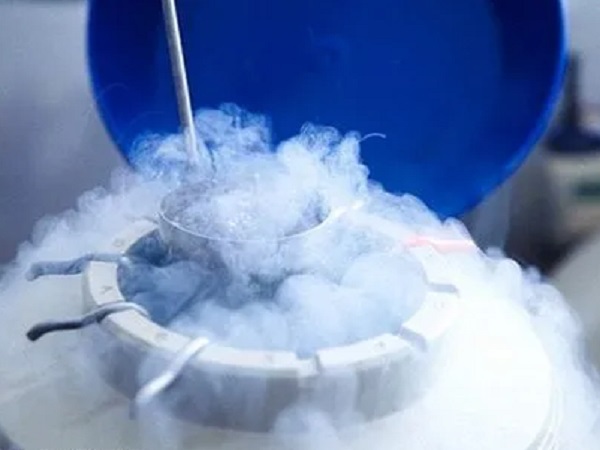 胚胎解冻复苏继续培养一天没长是胚亡了吗？