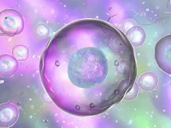 质量很差的胚胎却养囊成功了是什么原因？
