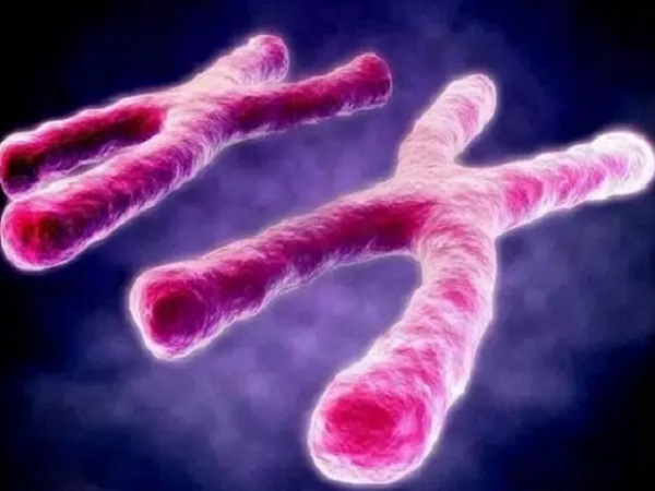 12号染色体缺失或异常代表什么病？胎儿能要吗？