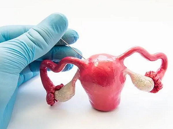 如果只有1/3子宫还能做试管婴儿移植胚胎吗？