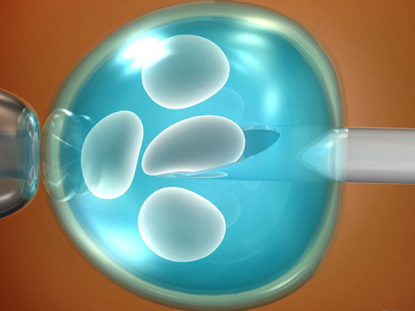 轻度卵巢刺激征有少量腹水能在取卵第3天移植鲜胚吗？