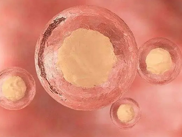 d3的冻胚是什么胚胎？是优质胚胎吗？
