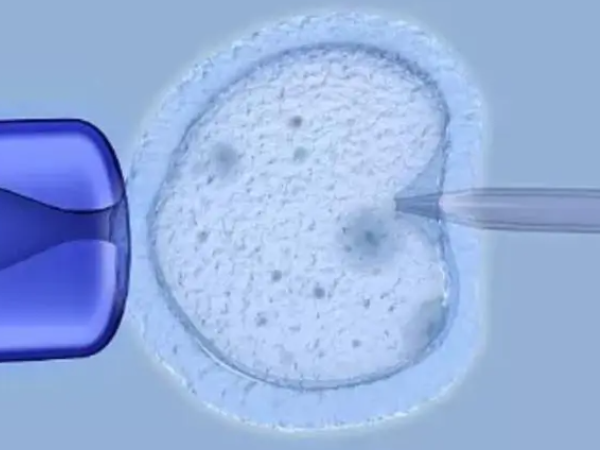 采用诱排周期几天能移植冻囊胚？