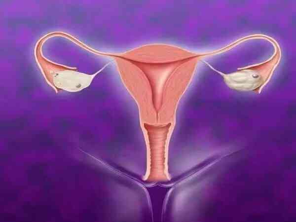 输卵管增粗做试管婴儿移植冻胚会出现宫外孕吗？