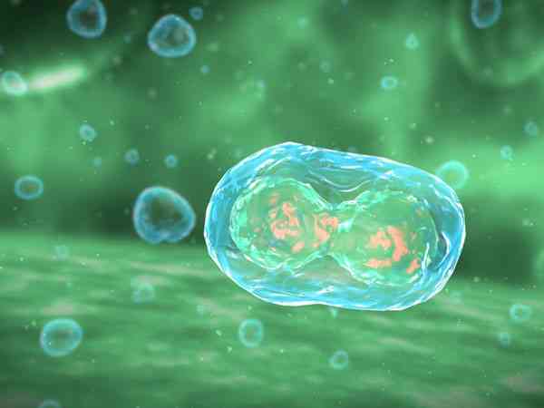 冷冻胚胎解冻后为什么会升级变cm胚胎？