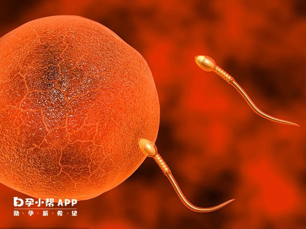 在湖南正规医院做一次人工受孕的过程是怎样的？
