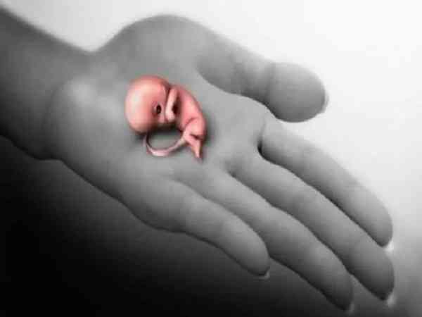 试管婴儿胚胎移植成功了应该怎样科学保胎？