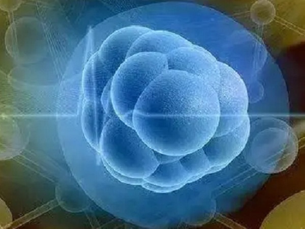 体外培养五天的3ab囊胚质量怎么样？