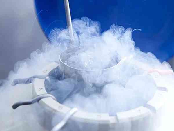 胚胎体外培养3天一般到达几级才能冷冻保存？