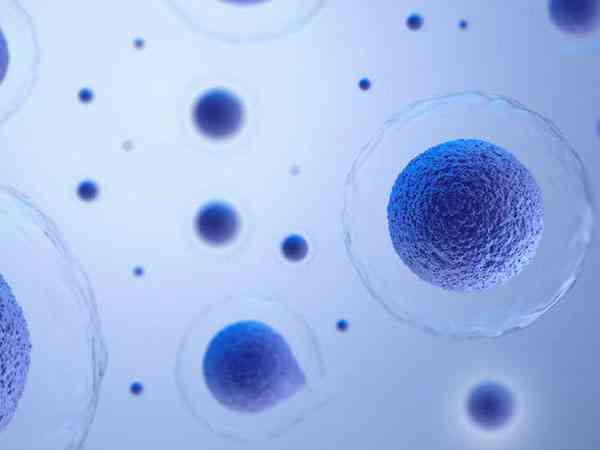 第二次移植冻囊胚过程会比第一次简单吗？