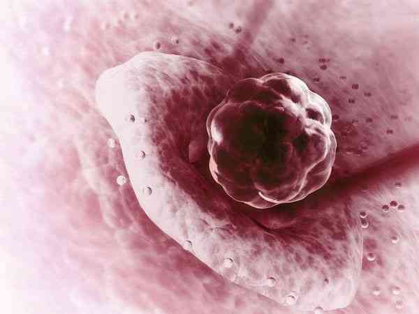 30岁一次移植两个优质胚胎成功率有多高？