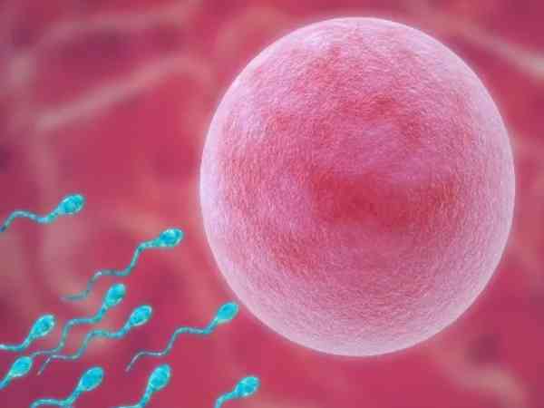 雌二醇低但b超监测卵泡发育却很好是什么原因？
