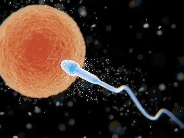 男方精液少需要做试管婴儿才能怀孕吗？