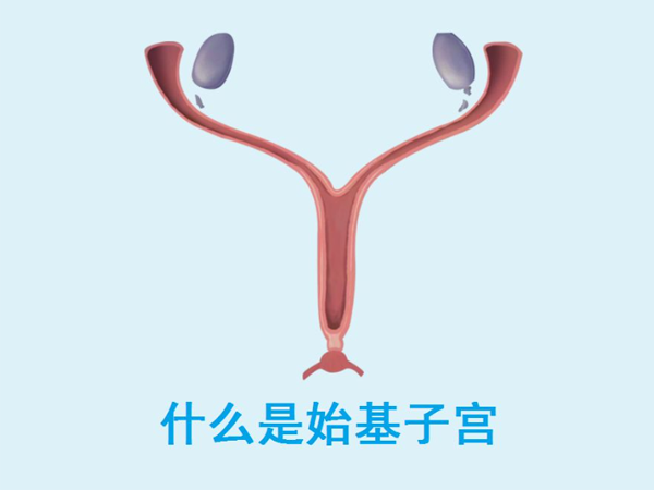 始基子宫吃激素类药物可以增厚子宫内膜吗？