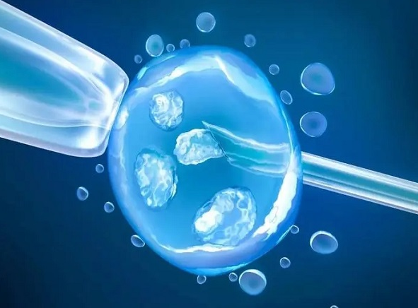女性卵泡质量差影响生育功能做试管婴儿适合短方案吗？