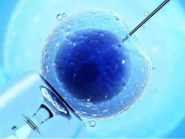 鲜胚移植缺点是成功率低，优势是活性强和治疗时间短吗？