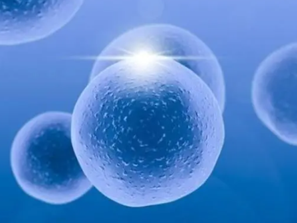 取出卵子的数量和质量会受到卵巢功能的影响吗？