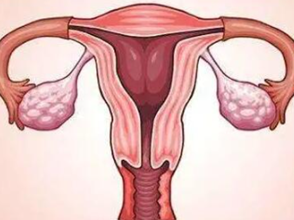 胚胎移植才2天就着床成功，是因为子宫内膜很健康吗？