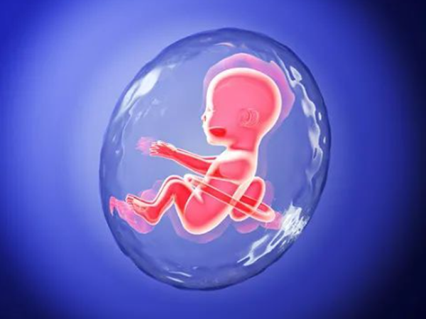 胚胎移植第6天HCG没变化没着床，是试管婴儿失败了吗？