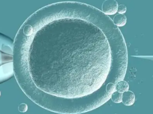 高龄基础卵泡少是因为卵巢早衰还是多囊卵巢？