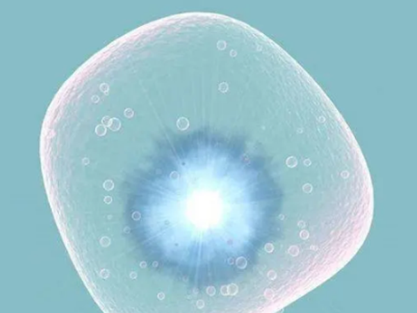 卵泡质量会不会对试管婴儿胚胎移植着床率产生影响？
