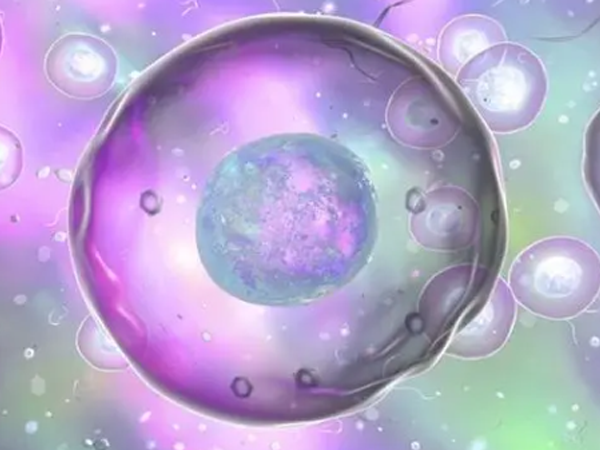 卵泡发育异常会造成排卵异常影响生育吗？