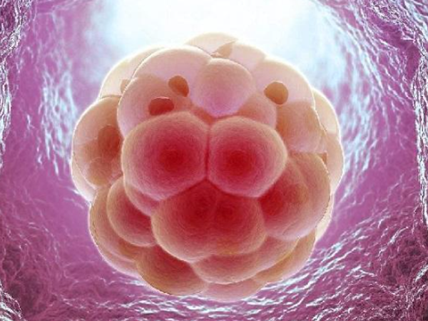 多囊促排卵可以通过口服避孕药来提高卵子质量吗？