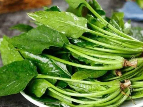 坐月子吃菠菜具有抗衰老和预防缺铁性贫血的好处吗？