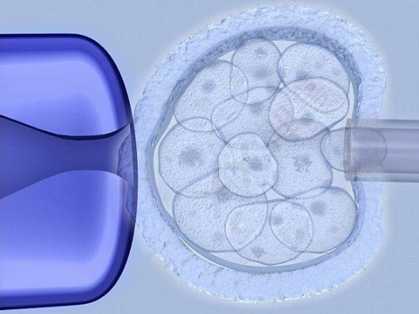 试管婴儿失败再次胚胎移植要等至少3个月吗？
