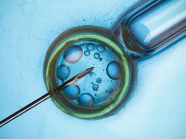 试管婴儿反复失败是胚胎质量差还是子宫环境差？