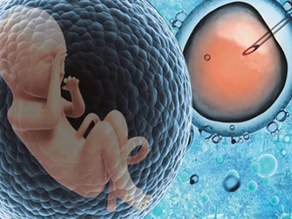 35岁胚胎移植前一定要按医嘱使用促排卵药物吗？