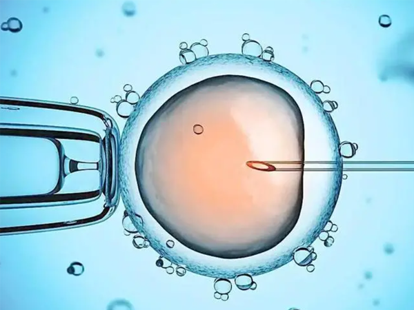 为什么医生建议高龄卵巢较差的女性只移植1个胚胎？