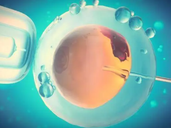 胚胎移植成功率会受到卵子质量和子宫环境影响吗？