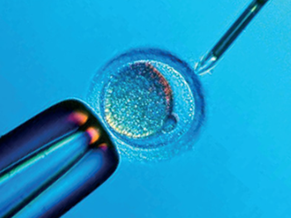 输卵管结扎后3个月做试管婴儿冻胚移植合适吗？