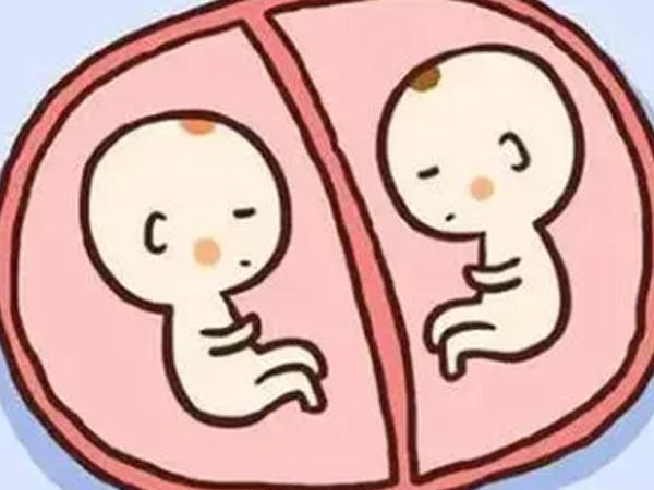 双胚胎移植适合高龄子宫环境较差的女性吗？