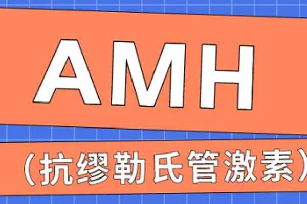 amh0.42ng/ml较低吃补佳乐调理比试管婴儿效果好吗？