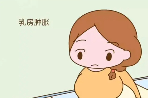 孕早期的孕反现象包括孕吐和乳房不适吗？