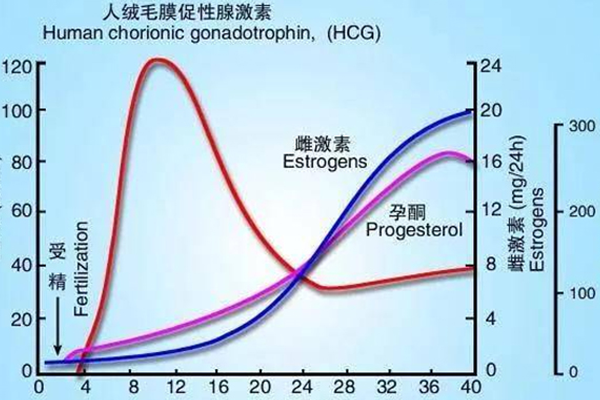 打hcg针后19天才检测出怀孕是因为排卵时间晚吗？