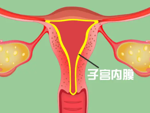 预防子宫内膜薄的办法是先调理月经并增加营养摄入吗？