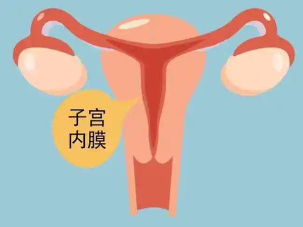 子宫内膜5mm偏薄应该选择冷冻胚胎先增厚再移植吗？