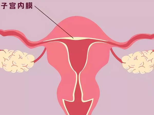 31岁子宫内膜5mm应该先做宫腔镜查明症结再增厚吗？